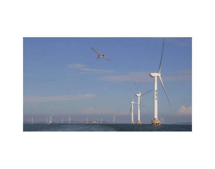 喜讯！福清兴化湾二期海上风电场荣获2023年度“标杆场站”称号