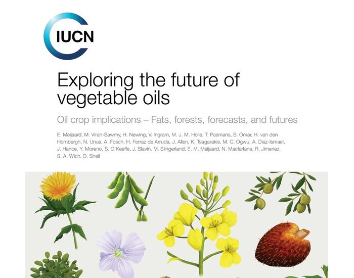 <em>油料作物</em>区可以为减少生物多样性损失和恢复自然生态等提供大量机会