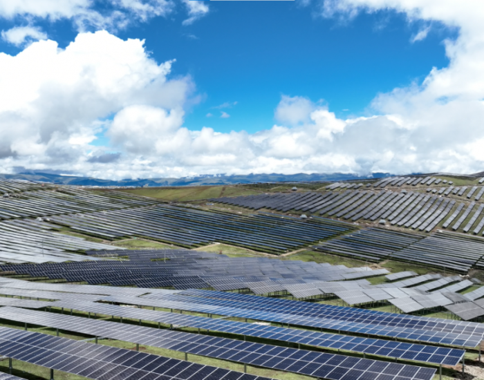 綠能建設的N次方 | <em>晶科能源</em>入選世界經濟論壇可再生能源價值鏈領先實踐案例