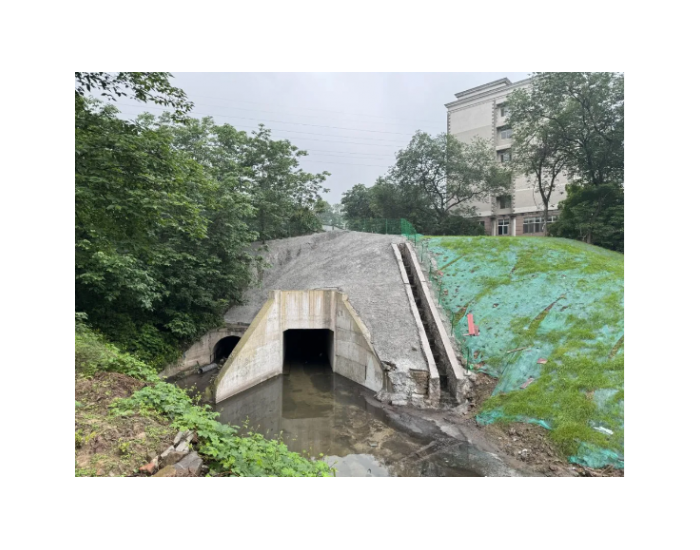 重庆杨家河沟污水治理项目完成竣工验收