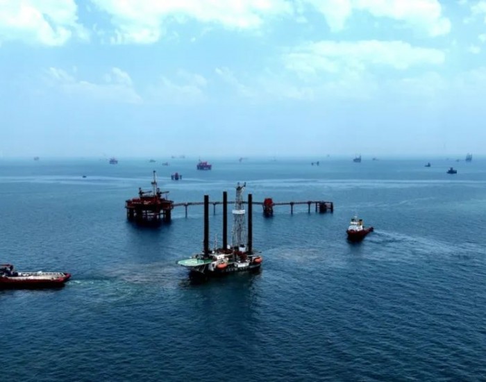 中石化石油工程第八座海上作业平台<em>就位</em>投产