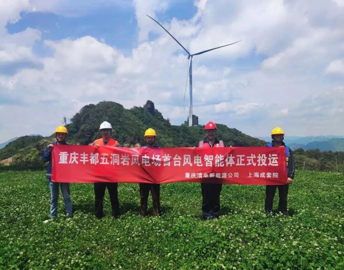 上海成套院风电智能体首台套成功投运