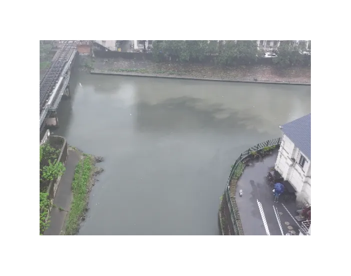典型案例 | 上海市一些地方污水<em>收集</em>处理设施建设仍有不足