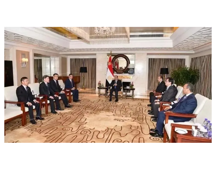 宋海良拜会埃及总统<em>塞</em>西，进一步加强能源电力、电力互联互通、水利水电等领域合作