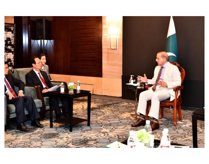 丁焰章拜会<em>巴基斯坦</em>总理夏巴兹·谢里夫，双方就推动在巴能源电力规划等领域合作深入交流
