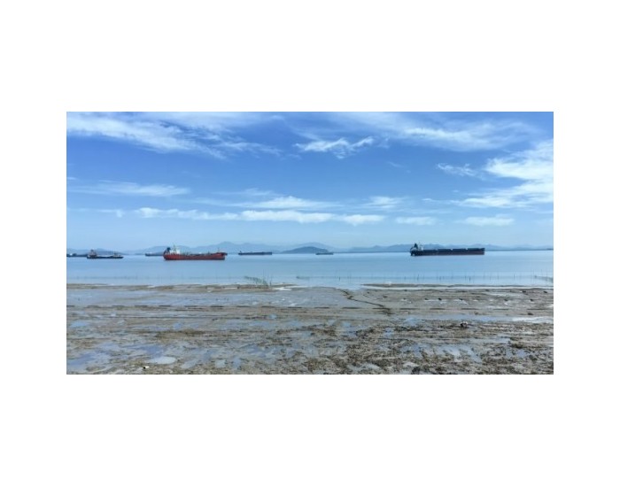 浙江三门湾旗门港和海游港海岸线生态保护修复单元
