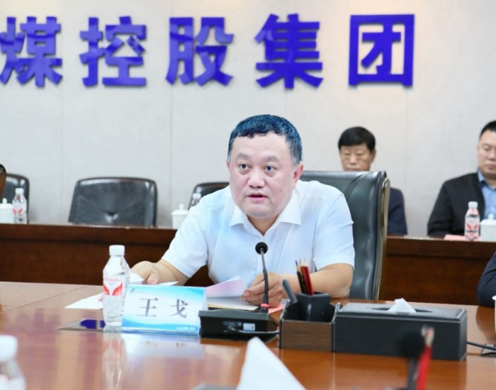 王戈任龙煤集团总经理、党委副书记、副董事长