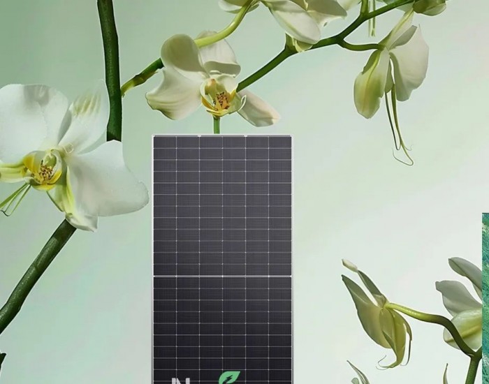 晶科能源Neo Green与曼城共筑绿色梦想，这个夏天