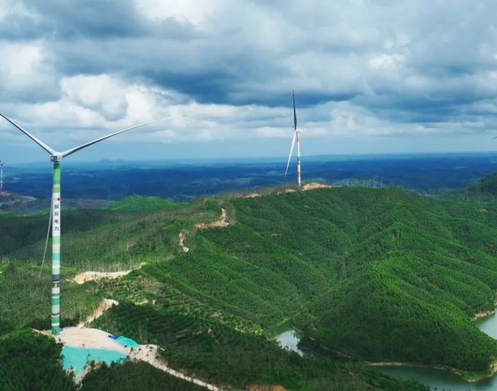 <em>国投</em>电力在广西2024年新能源项目竞配取得重要进展
