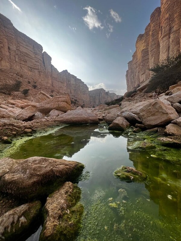 FIRST SAUDI PROTECTED AREA LISTSED ON IUCN GREEN LIST – IBEX PROTECTED AREA, JUST SOUTH OF RIYADH JOINS THE LIST WHICH SETS THE GLOBAL STANDARD FOR PROTECTED AND CO<i></i>NSERVED AREAS.