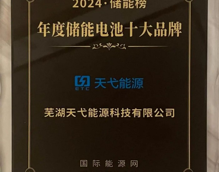 十载辉煌，<em>再创佳绩</em> | 天弋能源荣膺2024年度储能电池十大品牌！