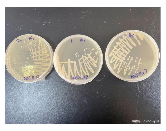 青海<em>油田</em>自研本源微生物菌液规模化发酵