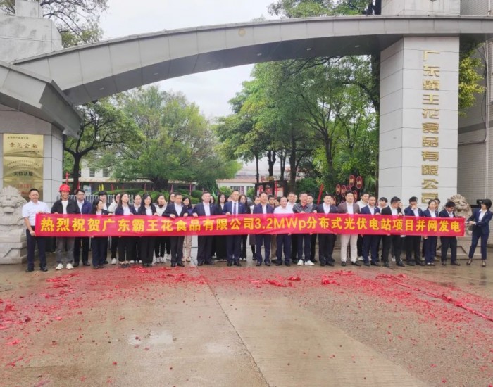 并网了！常州亿晶总承包的广东霸王花食品有限公司