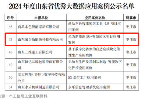 泉为科技入选山<em>东</em>省2024年度大数据产业“三优两重”项目