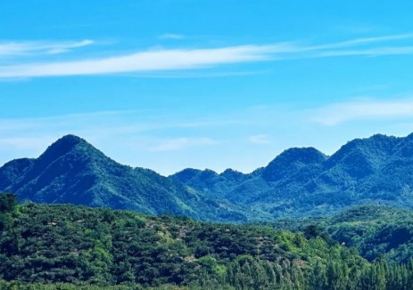 中标 | 中国能建天津院中标湖南省张家界市慈利县高峰风电场50兆瓦一期工程EPC总承包项目与岩泊渡风电场50MW工程EPC总承包项目