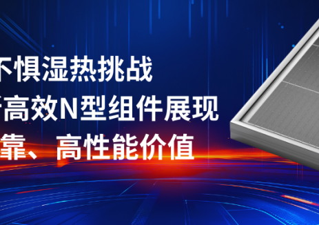 不惧湿热挑战！阿特斯自主研发的高效N型组件展现高可靠、高性能价值！