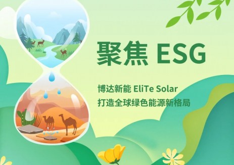 从海外制造到全球治理，博达新能 EliTe Solar 如