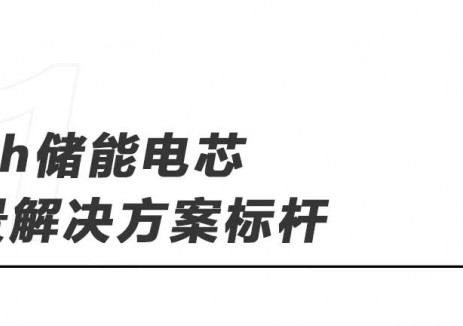 314Ah储能电芯领衔，欣旺达动力亮相波兰能源展