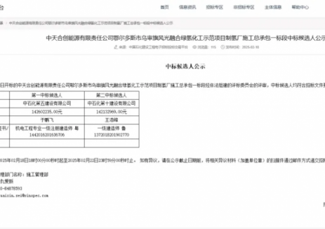 中石化乌审旗制氢项目中标候选人公示