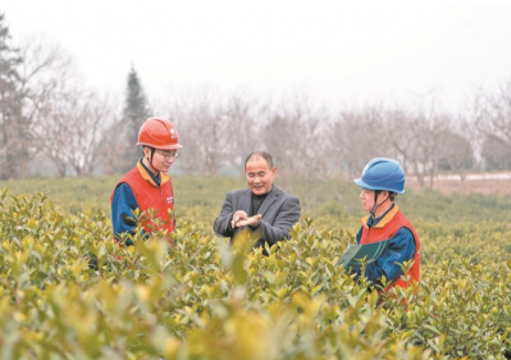 两会新声｜代表委员热议电力赋能乡村全面振兴