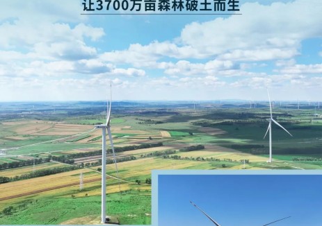 看运达六重生态如何“碳”索绿色未来？
