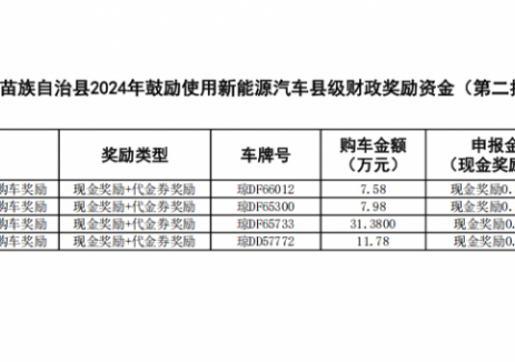 海南保亭黎族苗族自治县2024年鼓励使用新能源汽车