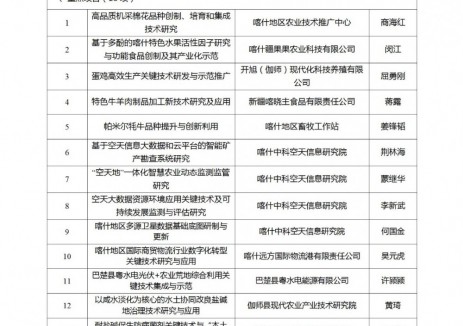 两个光伏相关项目入选！新疆喀什地区科学技术局公