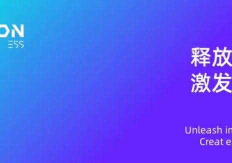 <em>海克森能源</em>（Hexoness）—用户侧储能方案提供商