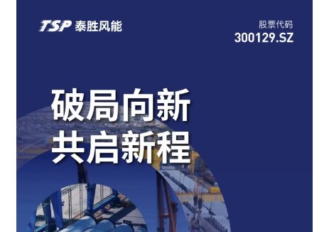破局向新 共启新程：一图速览泰胜风能2024年报