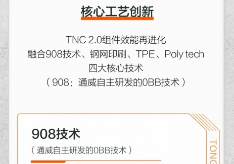 “高效技术+可靠交付”通威双重助力客户抢占发展