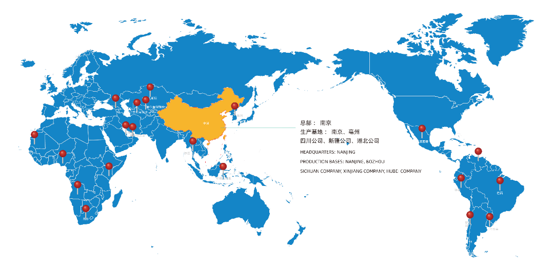 国际业务.png