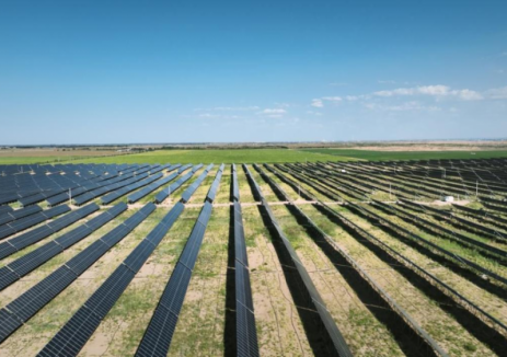 中标 | 800MW！中机一院一季度接连中标大型光伏储