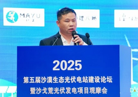 全景赋能 | 与沙共舞 一道新能柔性支架开启沙漠绿洲加速度