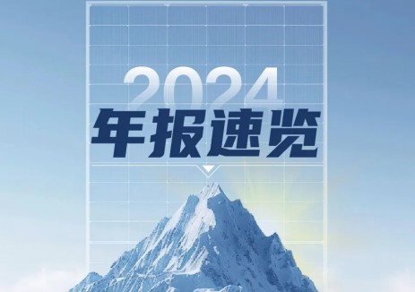 一图看懂晶科能源2024年报