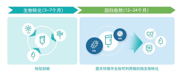 全新环保包装通过独特的生物转化过程实现环保降解
