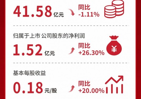 一图读懂 | 时代新材2025年第一季度报告