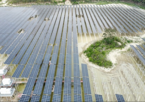来宾光伏项目白诺地块第六期成功实现首发并网