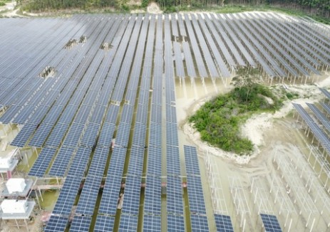 广西来宾光伏项目白诺地块第六期成功实现首发并网