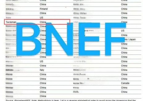 全球储能标杆丨特隆<em>美</em>储能再度荣登BNEF Tier1全球一级储能厂商榜单