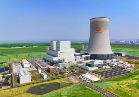 国能胜利电厂与生物质燃料供应商正式签署2万吨牛粪燃料块采购合同