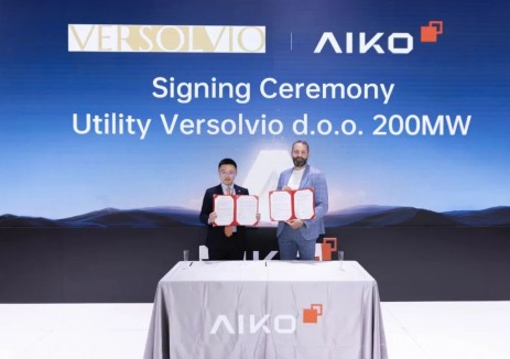 高效ABC组件广受青睐，爱旭Intersolar展海外订单“大丰收
