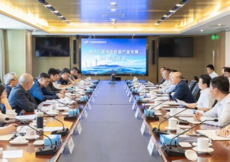 中国国际经济交流中心到云南能投集团调研