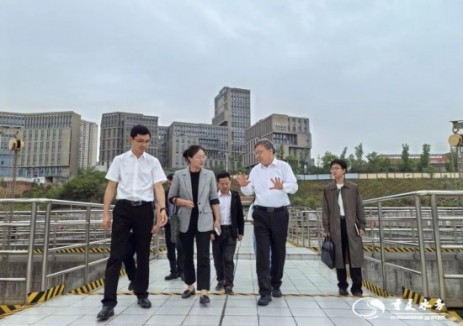 重庆研究院与重庆水务集团在污泥处置方面深入交流