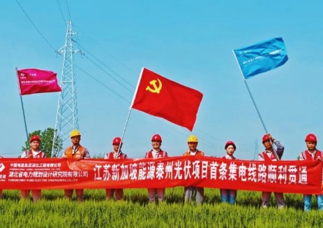 江苏新加坡能源泰州光伏项目首条集电线路顺利贯通