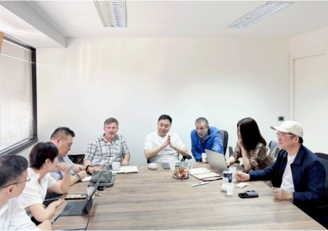 林洋能源与SVAM共商海外项目精细化管理，铺就零