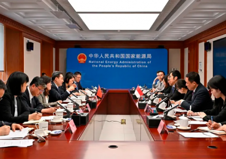 国家能源局主要负责人会见新加坡能源市场管理局局长