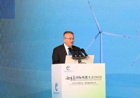 中国华电总经理、董事、党组副书记叶向：全面助力广东阳江打造全球海上风电产业高地