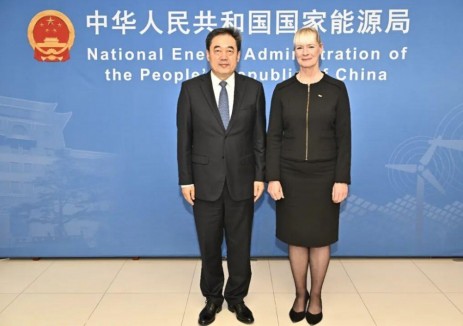 国家能源局主要负责人会见世界能源理事会总干