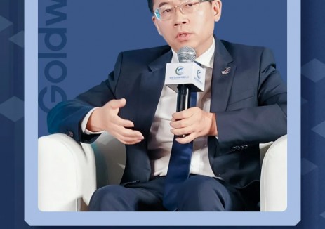 海陵岛国际风能大会上的金风之声