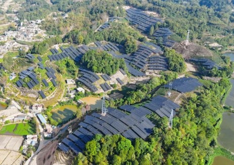 国内单体最大茶光互补项目在滇并网发电